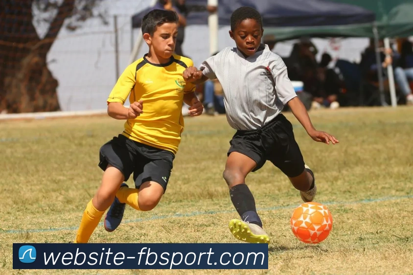 FB体育品牌故事