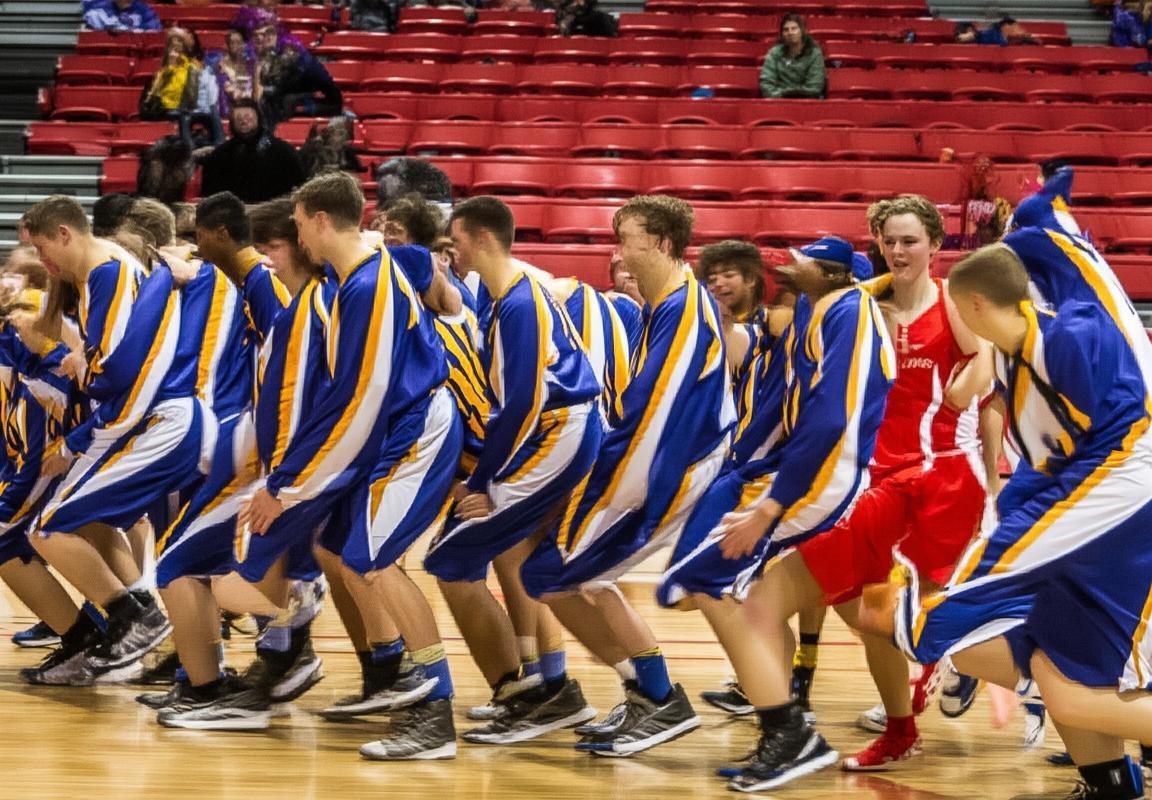 班克斯顿熊VS悉尼彗星：巅峰对决的胜利与成长启示(图2)